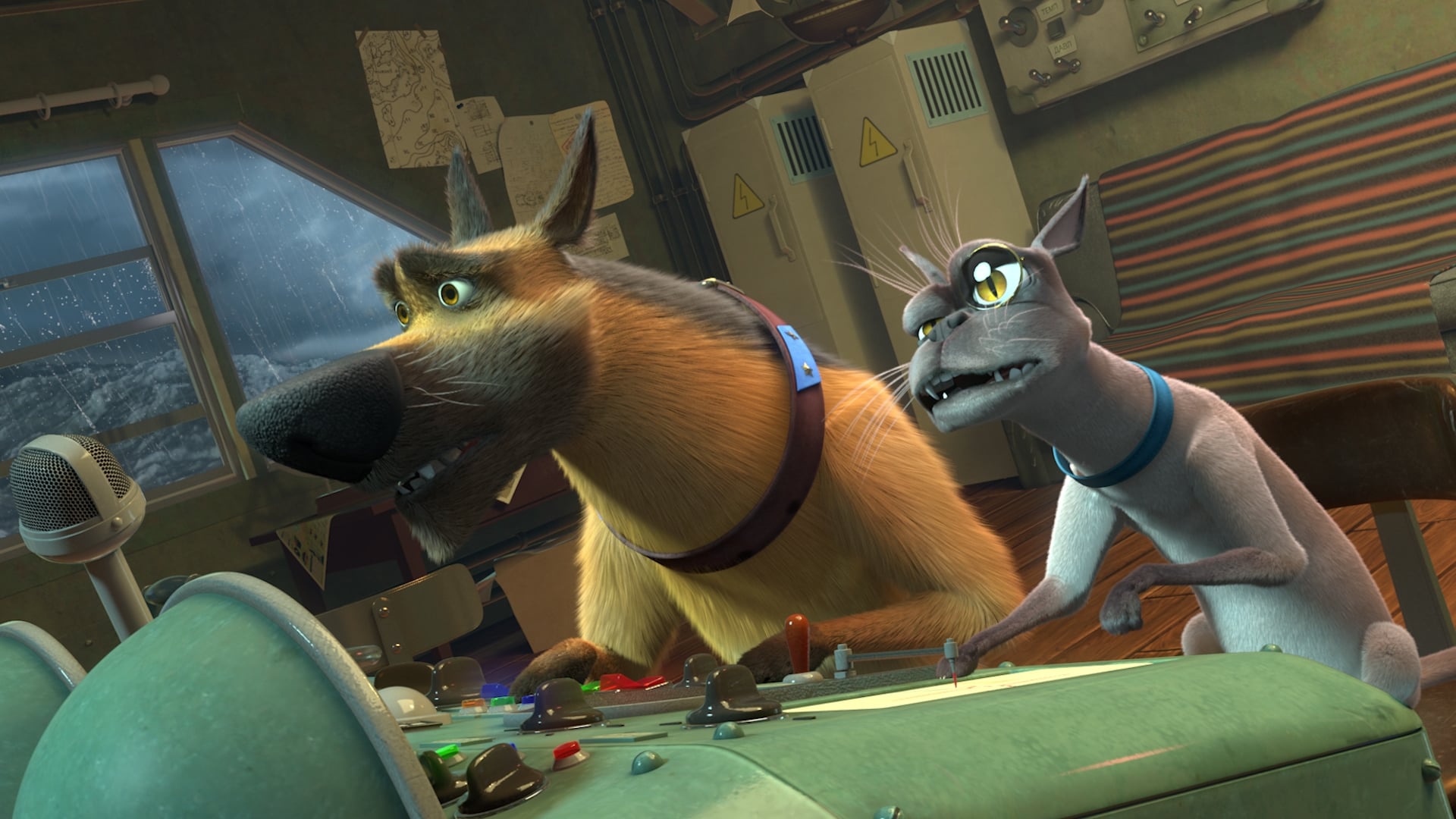 สปอยหนังยอดนิยม Space Dogs-Tropical Adventure น่าติดตาม